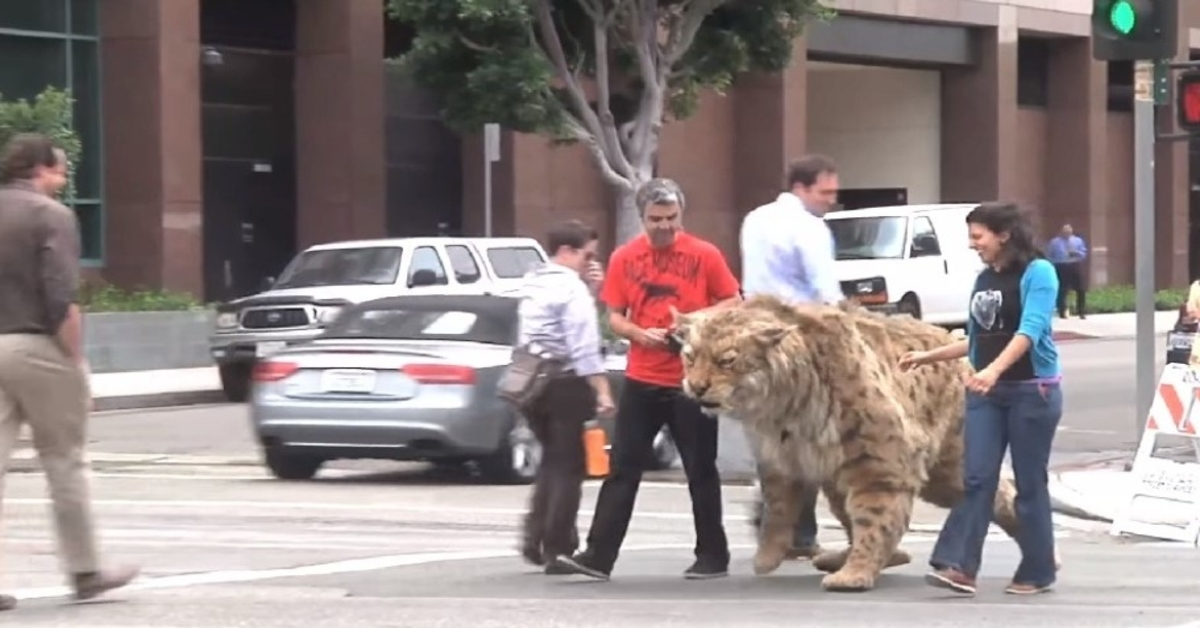 Sabljozobi tiger se sprosti na ulici in se “nevarno” približa otroku